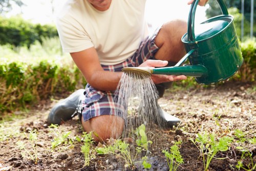 Professional lawn mowing services