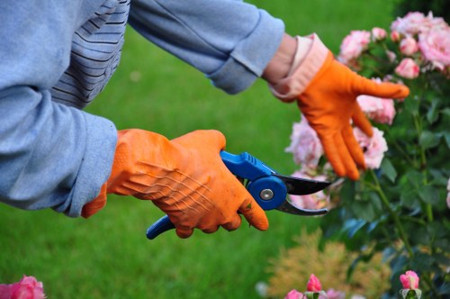 Eco-friendly lawn care practices