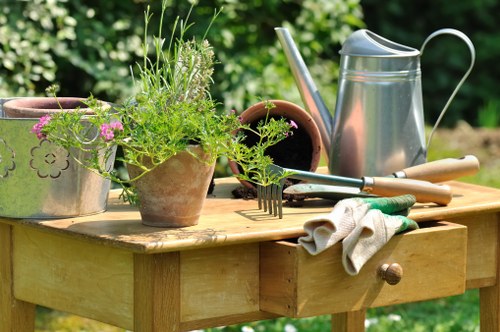Experienced tree service provider in Camden Town