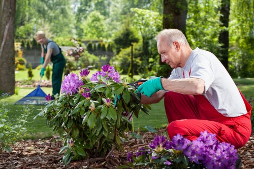 Diverse plant selection for Camden landscaping