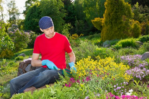 Professional landscaper working in Camden Town