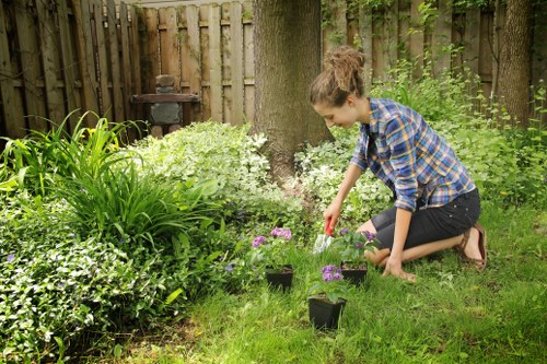 Seasonal hedge trimming techniques in Camden Gardens