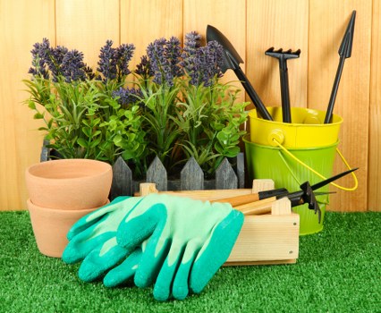 Team conducting eco-friendly garden clearance in Camden