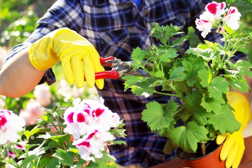 Professional pressure washing service in Camden Town